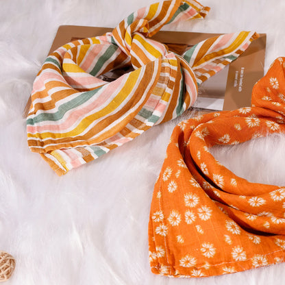Kit de fraldas estampadas -5 peças